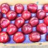 Mele Red delicius  Soputh Africa