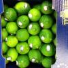 Lime - Brasil
