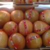 Pomelo  China