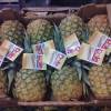 Ananas MD2  Dole  Costa Rica